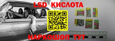 apvp Пугачёв
