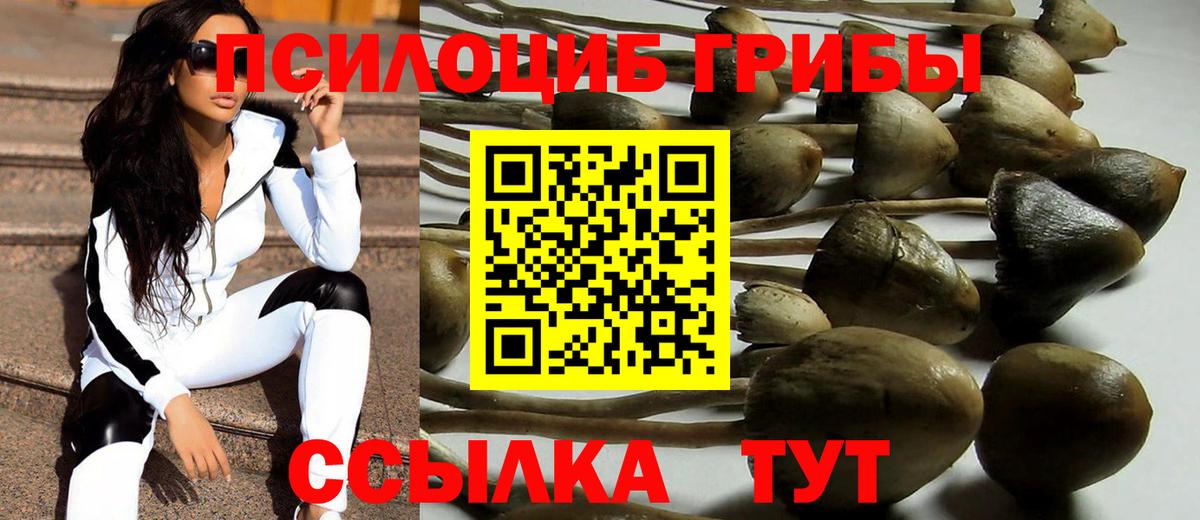 Псилоцибиновые грибы Magic Shrooms  Вход с VPN  Пыть-Ях 